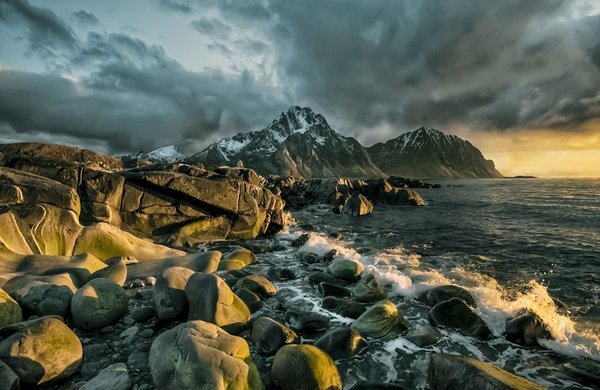 Que découvrir dans le zoo du sud ?