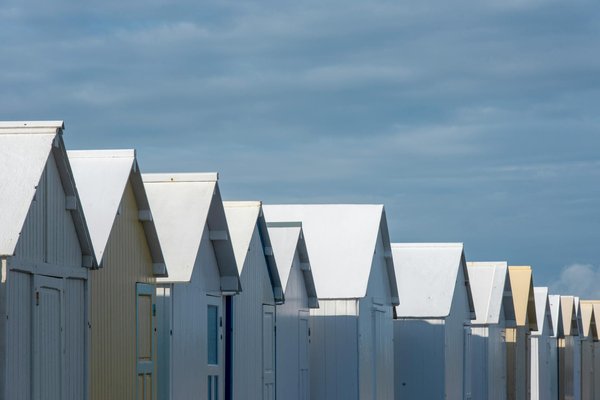 Pourquoi visiter le parc zoologique en Île-de-France ?